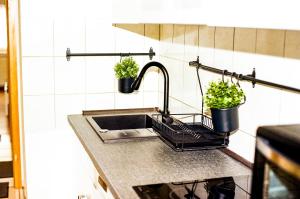 a kitchen sink with two potted plants on it at Liva Apartments Herne in Herne