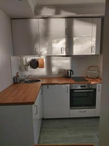 Virtuvė arba virtuvėlė apgyvendinimo įstaigoje Jauks dzīvoklis ar skaistu skatu uz Daugavu