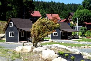 una casa negra con un árbol en el patio en Dziedziniec Karkonoszy en Podgórzyn