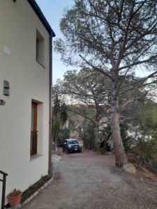 Gallery image of Casa Pavone in Literno