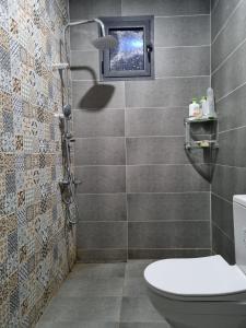 a bathroom with a toilet and a shower at Villa Berkania piscine privée - 8 pers in Berkawe