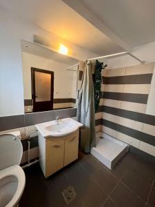 a bathroom with a sink and a toilet at Complex Popas Pacurari in Iaşi