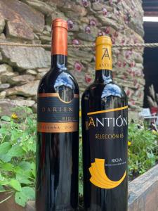 dos botellas de vino sentadas una junto a la otra en Aldea Couso Rural en Sarreaus
