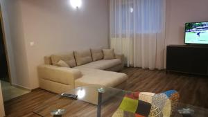 Μια τηλεόραση ή/και κέντρο ψυχαγωγίας στο BEST APARTHOTEL EVER! next to Airport Otopeni