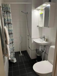 a bathroom with a sink and a toilet and a shower at Rut & Ragnars Vandrarhem in Malmö