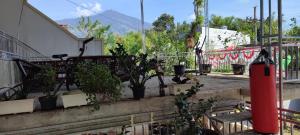 a balcony with potted plants and a train at kopi ABG in Lawang