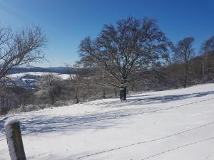 Ferienhaus Geier v zimě