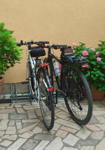 Jazda na bicykli v okolí ubytovania Emma appartment