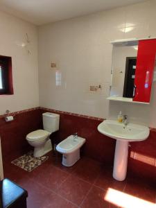 een badkamer met een toilet en een wastafel bij Apartamentai Pušyne in Druskininkai