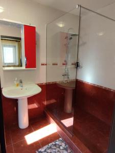 een badkamer met een wastafel en een glazen douche bij Apartamentai Pušyne in Druskininkai