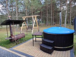 een speeltuin met een blauw bad en een schommel bij Apartamentai Pušyne in Druskininkai