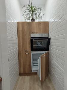 a small kitchen with an oven and a plant in it at Katerina's Apartment in Bitola