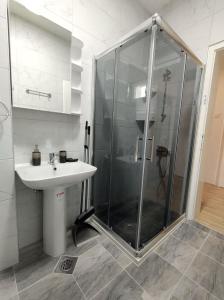 bagno con doccia e lavandino di Katerina's Apartment a Bitola
