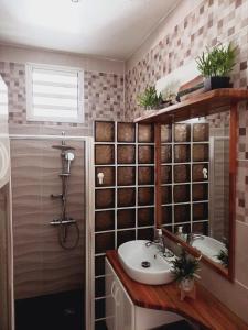 W łazience znajduje się umywalka i prysznic. w obiekcie Une pause s'impose au Vauclin avec votre jacuzzi privatif pour 3 nuits minimum w mieście Le Vauclin
