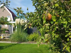 un jardín con un manzano y un poco de hierba en B&B WELKOM Zierikzee, en Zierikzee