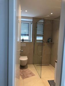 a bathroom with a shower and a toilet and a window at Beautiful Apartment with a huge private terrace in Speinshart