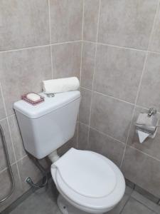 ein Bad mit einem weißen WC in einem Zimmer in der Unterkunft Alquilerpordiaviedma in Viedma