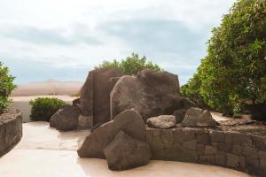 a bunch of rocks in a rock garden at Casa Sua in Famara +52 photos