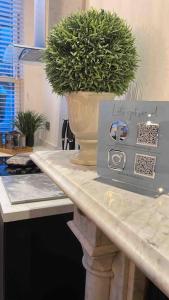 a potted plant sitting on top of a counter at The Apartment - Brand new, stylish & central in Shanklin