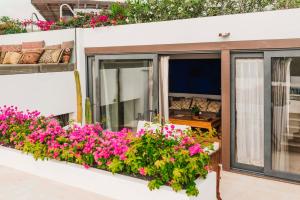 a window box with flowers on a balcony at Casa Sua in Famara