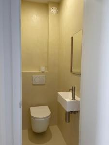 a small bathroom with a toilet and a sink at Habitatges Turístics Riba Pitxot - Es Cucurucuc in Cadaqués