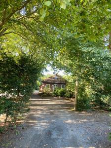 a house in the middle of a road with trees at Ankerplatz in Leer