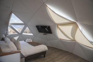 Domos by Toore Patagonia في بويرتو ناتالز: غرفة بسرير وتلفزيون في خيمة