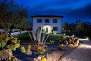 una casa con un sacco di cactus di fronte di GIULIVETO Bed and Breakfast a Foligno