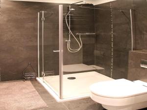 ein Bad mit einer Dusche und einem WC in der Unterkunft Apartament Mistral in Puck