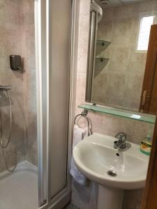 La salle de bains est pourvue d'un lavabo et d'une douche. dans l'établissement Hostal San Pedro, à Coslada