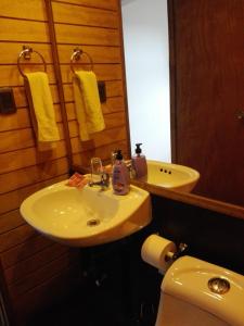 uma casa de banho com um lavatório, um WC e um espelho. em ALMER HOSTAL em Punta Arenas
