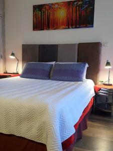 ein Schlafzimmer mit einem großen Bett mit lila Kissen in der Unterkunft Studio Mirador, todo lo que necesitas para disfrutar in Tarija