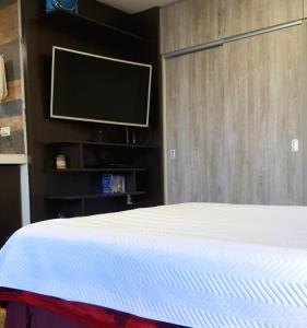 Schlafzimmer mit einem Bett und einem Flachbild-TV in der Unterkunft Studio Mirador, todo lo que necesitas para disfrutar in Tarija