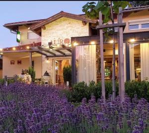 a garden with purple flowers in front of a building at Aurora Panzió in Bük