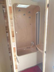 ein Badezimmer mit einer Badewanne mit Vögeln an der Wand in der Unterkunft Red 2 Caravan Ingoldmells 6 berth 3 bedrooms in Ingoldmells