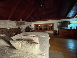 1 dormitorio con 2 camas y TV de pantalla plana en Villa Rural Faldas del Teide, en Icod de los Vinos