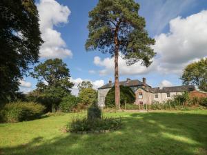 a large tree in front of a house at South Wing Cottage in Yelverton