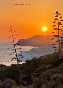 einen Sonnenuntergang über dem Meer mit Strand und Bäumen in der Unterkunft Parnasus in Agrigento
