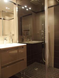 uma casa de banho com um chuveiro, um lavatório e um espelho. em Bed and Breakfast Le patio em Montigny-lès-Metz
