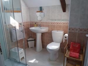 a bathroom with a toilet and a sink and a shower at Les Gîtes du Triskell, gîte du Feu in Sainte-Tréphine +9 photos