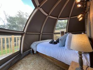 Postel nebo postele na pokoji v ubytování Sunrise Dome Tent