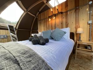Postel nebo postele na pokoji v ubytování Sunrise Dome Tent