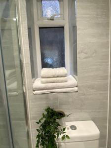 baño con aseo, ventana y lavamanos en Lovely and Modern Studio Apartment., en Borehamwood