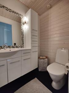 Koupelna v ubytování Laplands Hillside House
