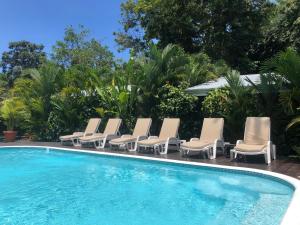 a row of lounge chairs next to a swimming pool at Alloro Jungle Villas in Puerto Viejo