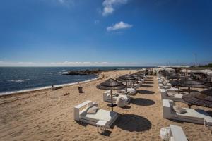 a row of beach chairs and umbrellas on a beach at Casa da Nau in Vila do Conde