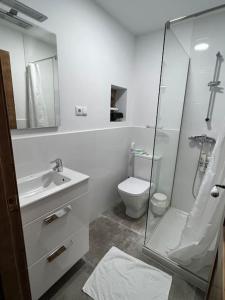 ein Bad mit einem WC, einem Waschbecken und einer Dusche in der Unterkunft A Casa do Portal in Campo Lameiro