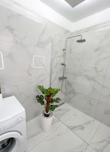 un bagno con doccia e una pianta di Apartament Sunrise ad Adeje