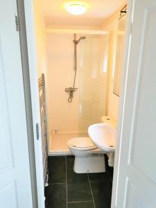 La salle de bains est pourvue de toilettes, d'un lavabo et d'une douche. dans l'établissement Boslodge 84, à Vorden
