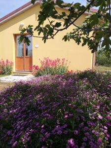 Zahrada ubytování Agriturismo I Ciliegi Appartamento Ginestra
